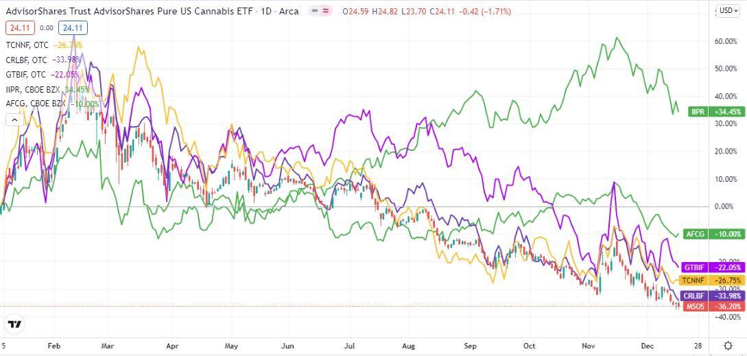 The Top Cannabis Stocks for 2022